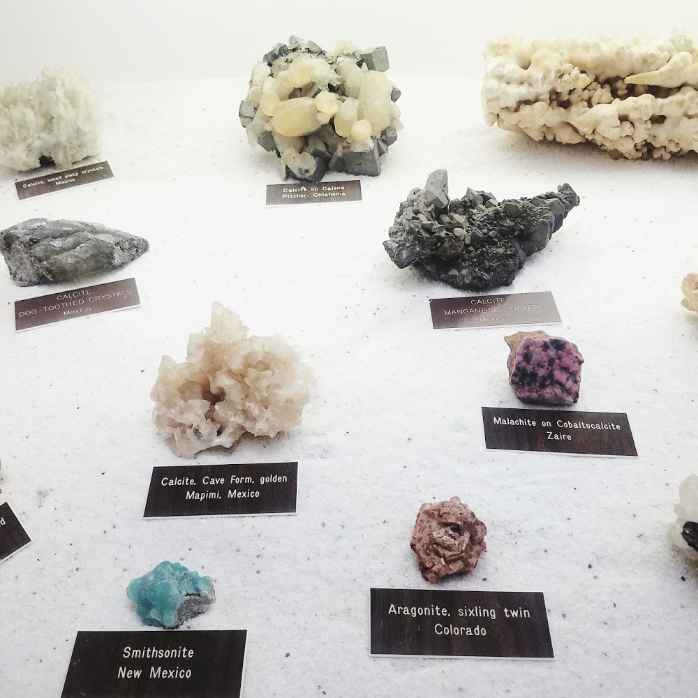 Meet your Posher, Lacey